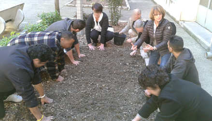 hortitherapie